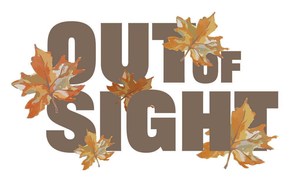 Out of Sight